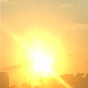 Meet your Posher, Belle